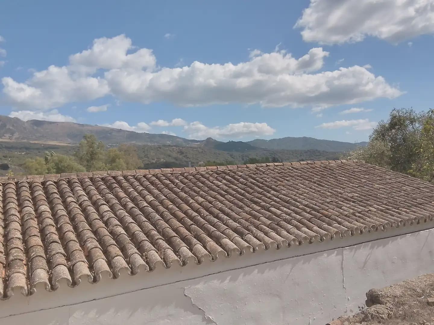 Mark till salu i Cortes de la Frontera - 120 000 € (Ref: 10016341)