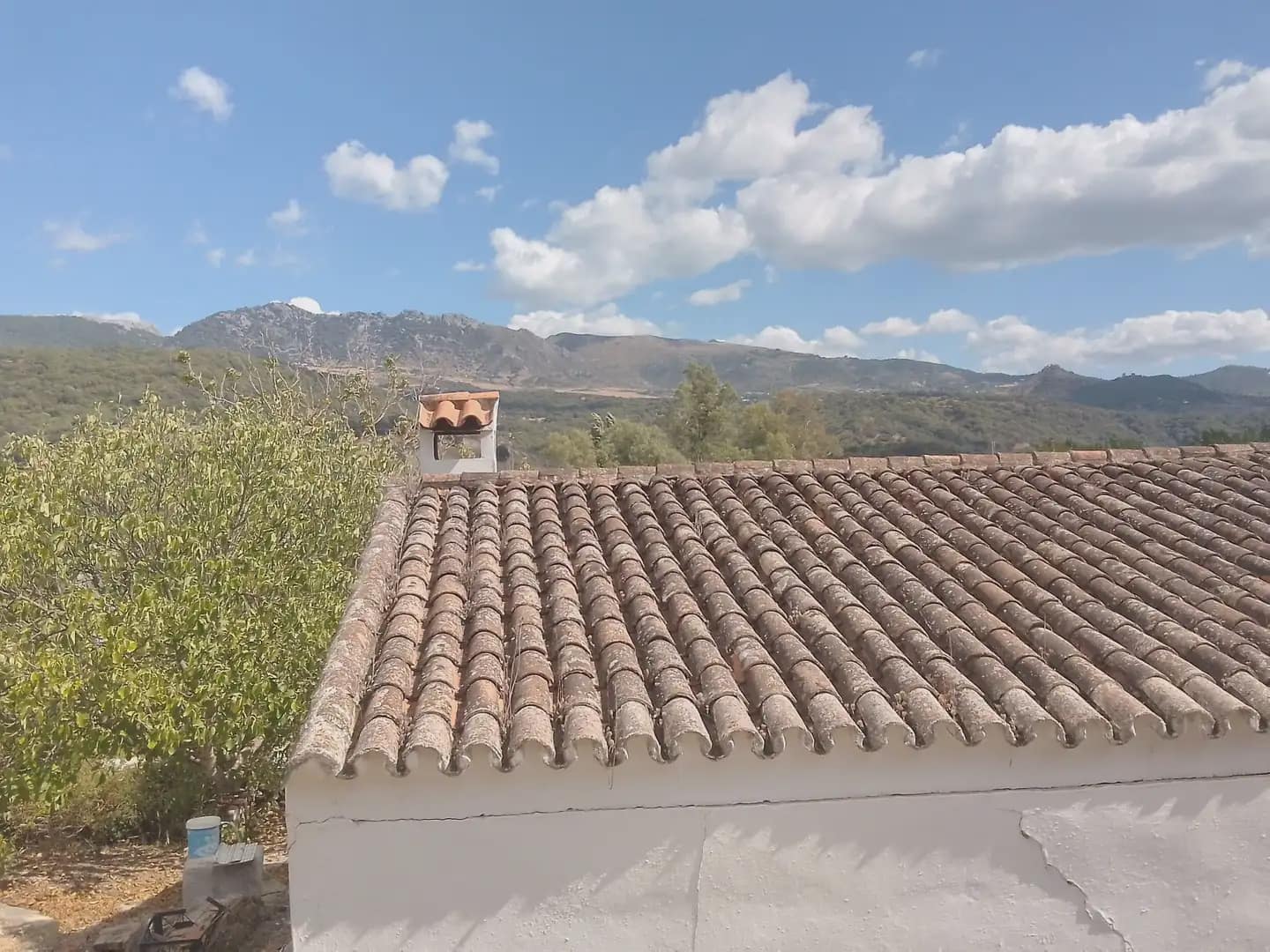 Mark till salu i Cortes de la Frontera - 120 000 € (Ref: 10016341)