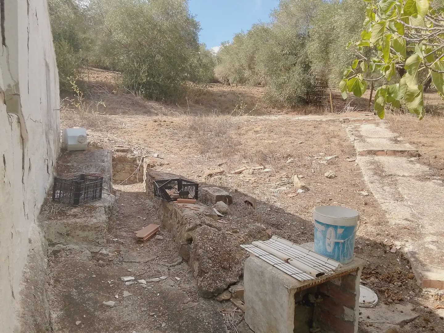 Mark till salu i Cortes de la Frontera - 120 000 € (Ref: 10016341)