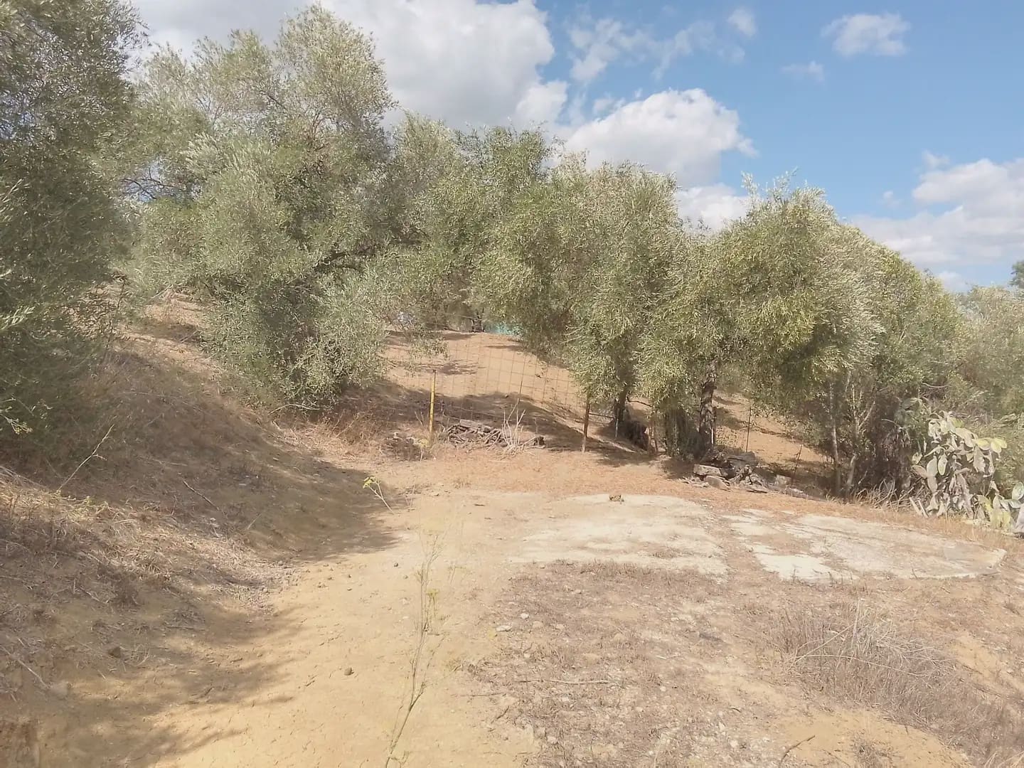 Mark till salu i Cortes de la Frontera - 120 000 € (Ref: 10016341)