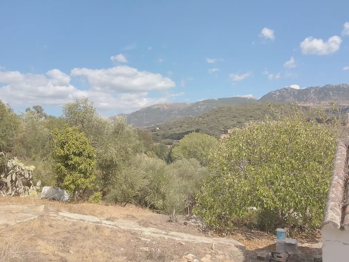 Mark till salu i Cortes de la Frontera - 120 000 € (Ref: 10016341)