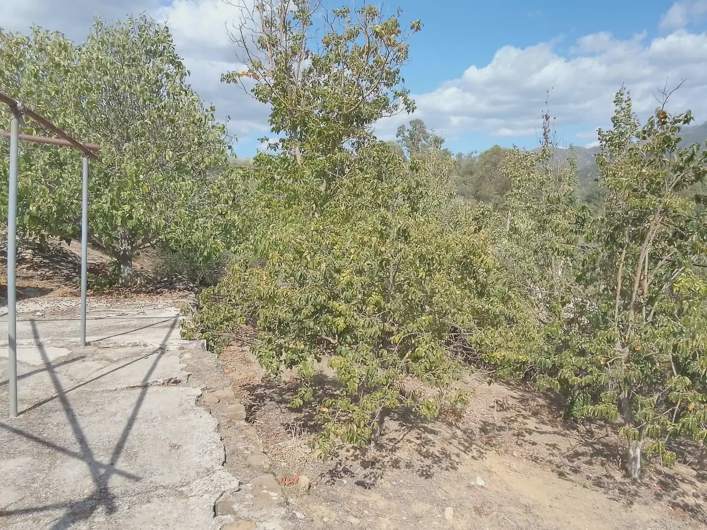 Mark till salu i Cortes de la Frontera - 120 000 € (Ref: 10016341)