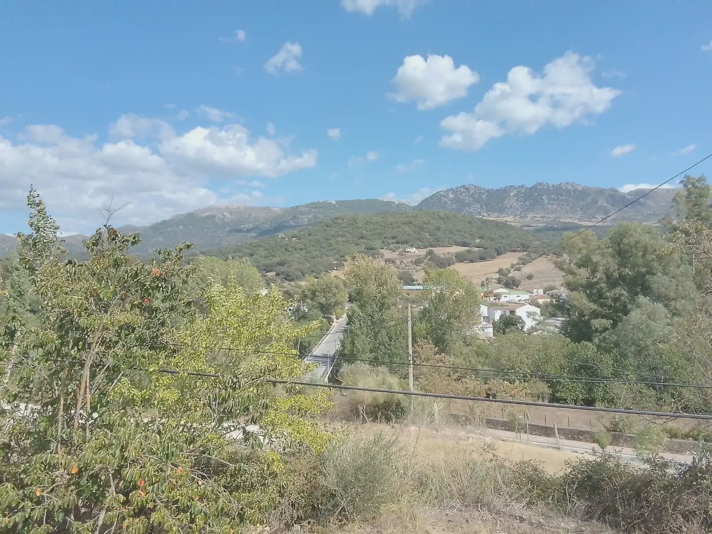 Mark till salu i Cortes de la Frontera - 120 000 € (Ref: 10016341)