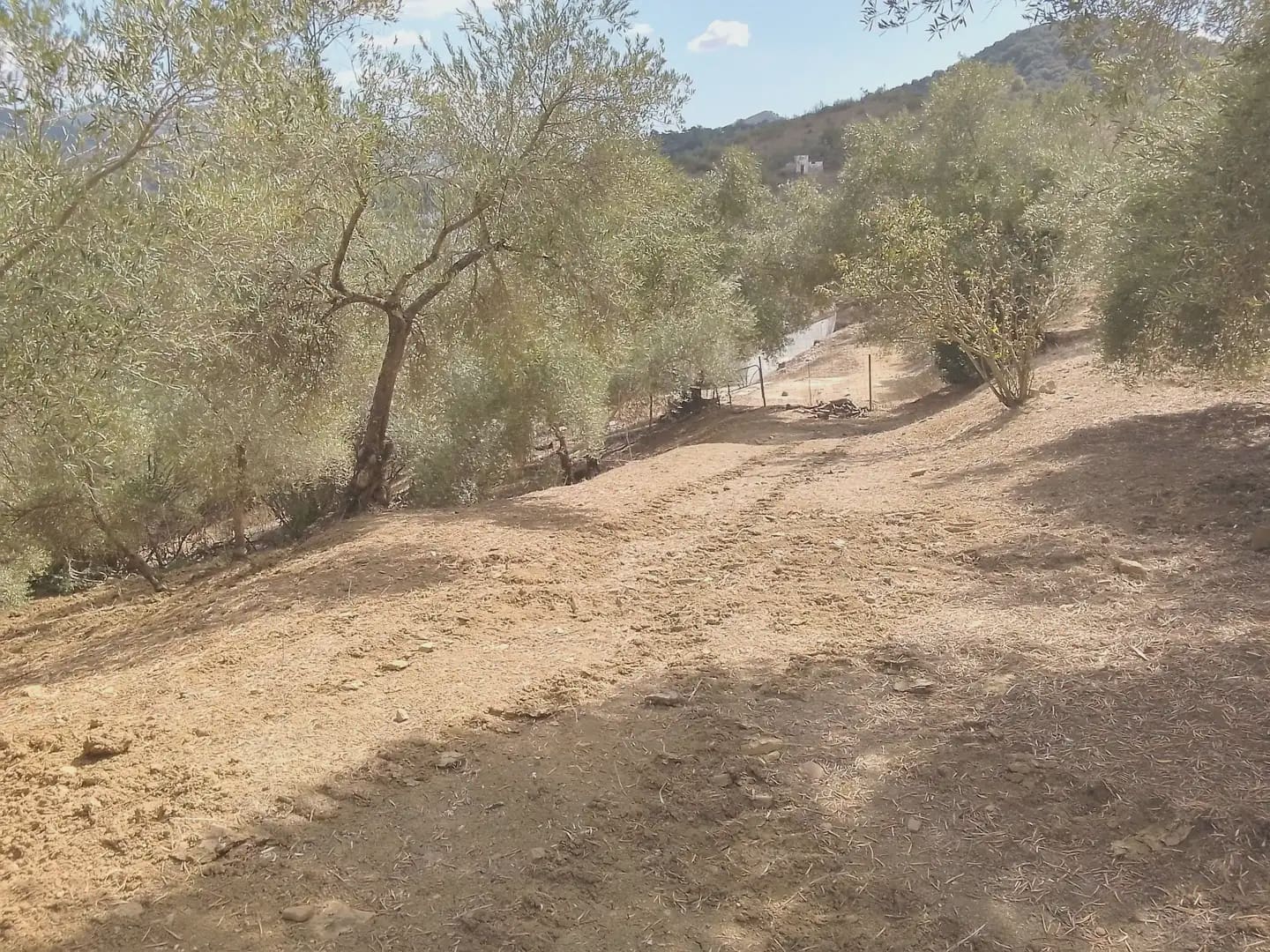 Mark till salu i Cortes de la Frontera - 120 000 € (Ref: 10016341)