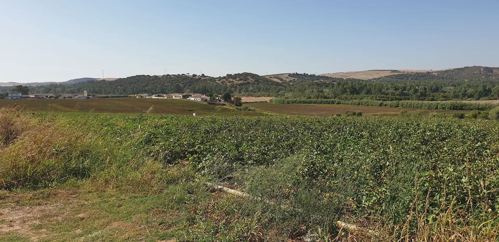 Grunde uden byggetilladelser til salg i Arcos de la Frontera - € 120.000 (Ref: 10016342)