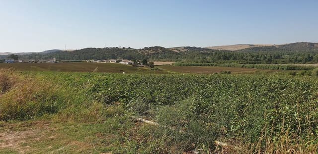 Grunde uden byggetilladelser til salg i Arcos de la Frontera - € 120.000 (Ref: 10016342)