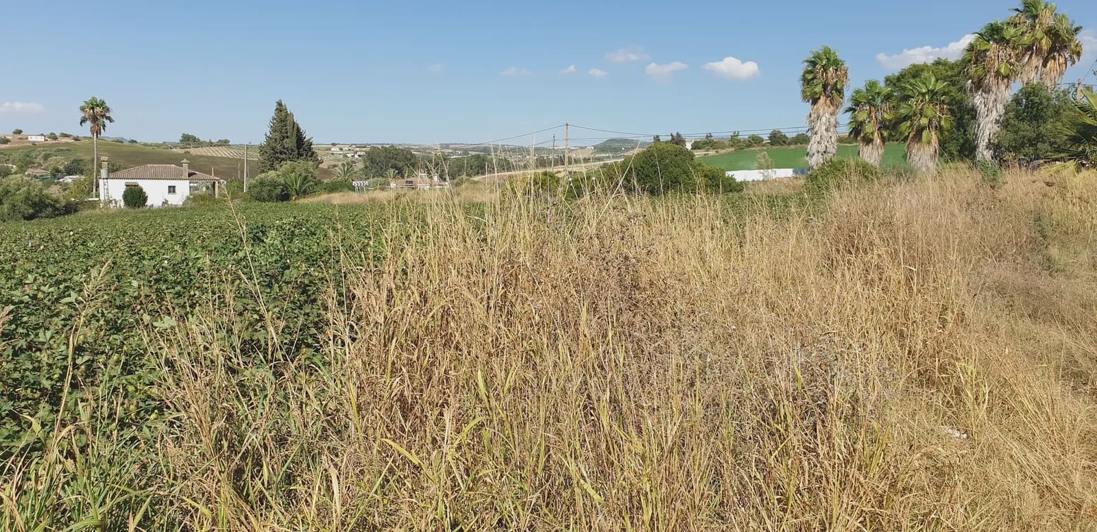 Grunde uden byggetilladelser til salg i Arcos de la Frontera - € 120.000 (Ref: 10016342)