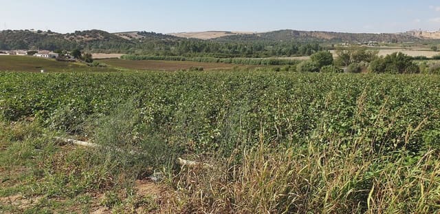 Grunde uden byggetilladelser til salg i Arcos de la Frontera - € 120.000 (Ref: 10016342)