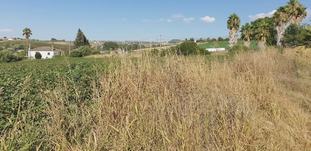 Grunde uden byggetilladelser til salg i Arcos de la Frontera - € 120.000 (Ref: 10016342)