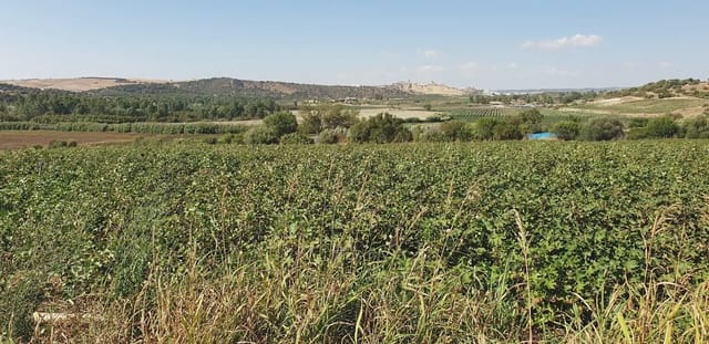 Grunde uden byggetilladelser til salg i Arcos de la Frontera - € 120.000 (Ref: 10016342)