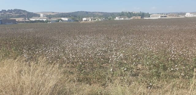 Grunde uden byggetilladelser til salg i Arcos de la Frontera - € 120.000 (Ref: 10016342)