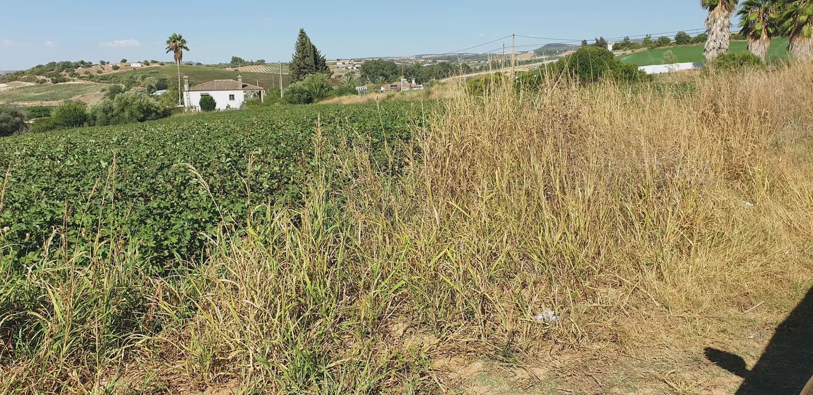 Grunde uden byggetilladelser til salg i Arcos de la Frontera - € 120.000 (Ref: 10016342)