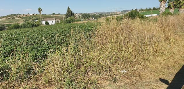 Grunde uden byggetilladelser til salg i Arcos de la Frontera - € 120.000 (Ref: 10016342)