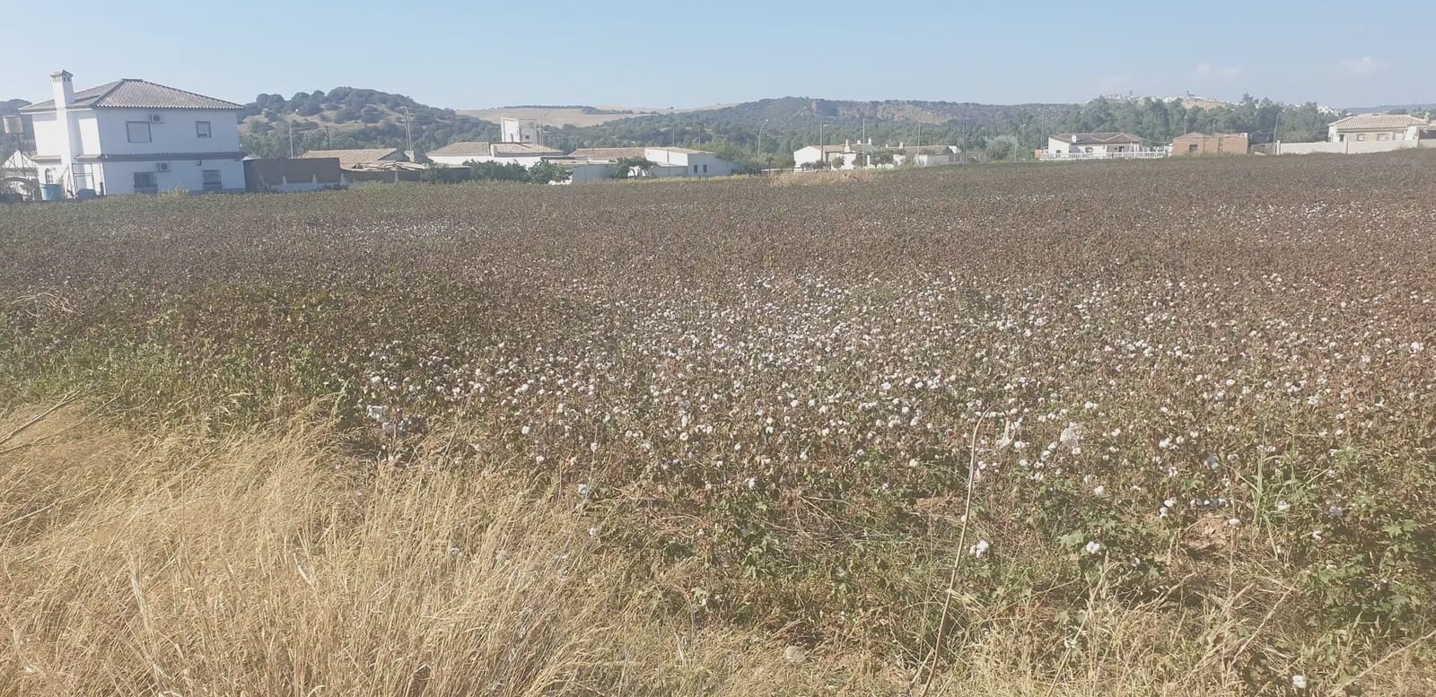 Mark till salu i Arcos de la Frontera - 60 000 € (Ref: 10016343)