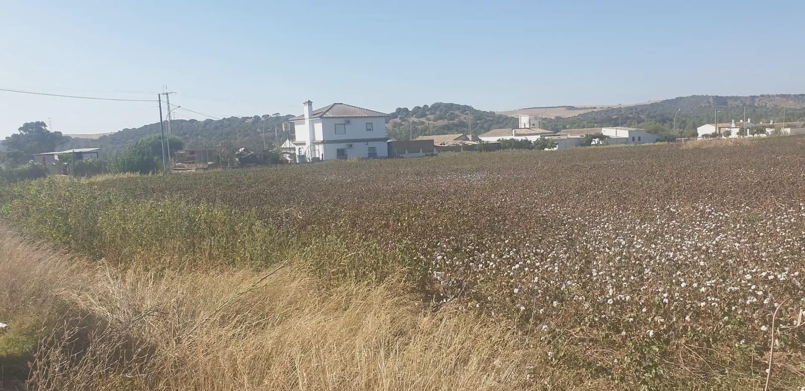 Mark till salu i Arcos de la Frontera - 60 000 € (Ref: 10016343)