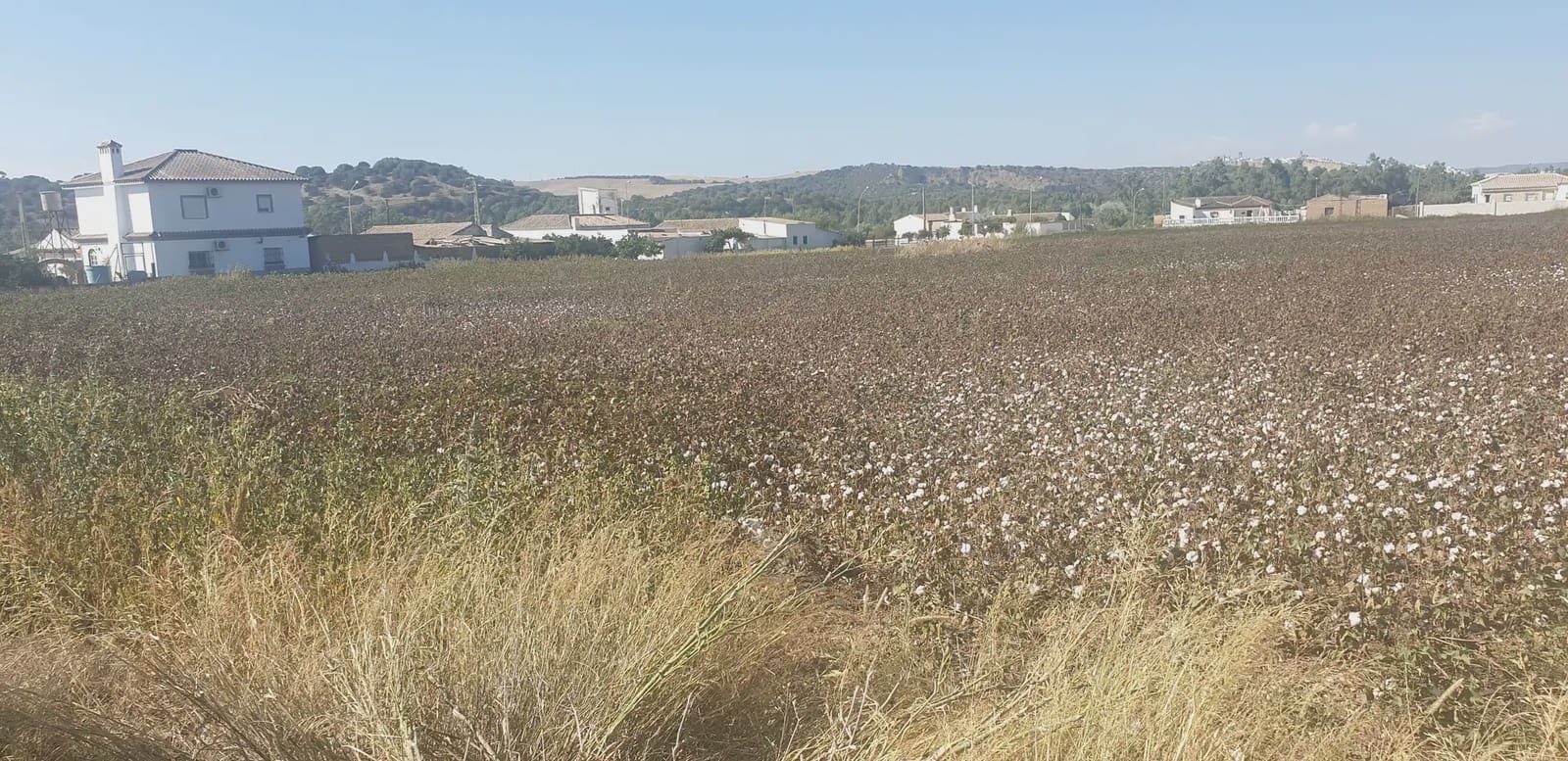 Mark till salu i Arcos de la Frontera - 60 000 € (Ref: 10016343)