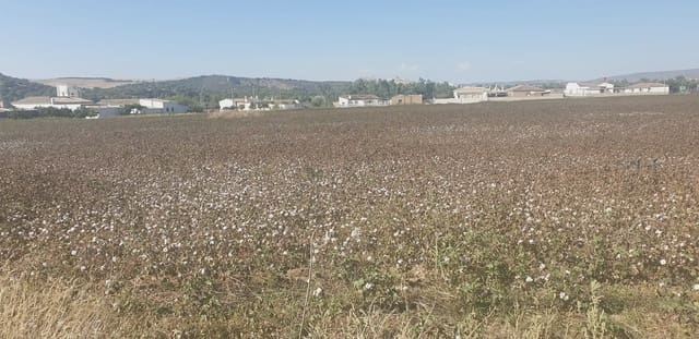 Grunde uden byggetilladelser til salg i Arcos de la Frontera - € 60.000 (Ref: 10016343)