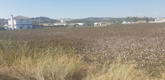 Grunde uden byggetilladelser til salg i Arcos de la Frontera - € 60.000 (Ref: 10016343)