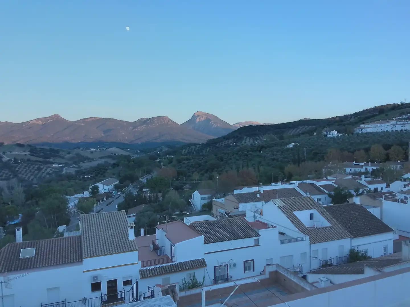 5 soveværelse Villa til salg i Prado del Rey med garage - € 250.000 (Ref: 10016349)