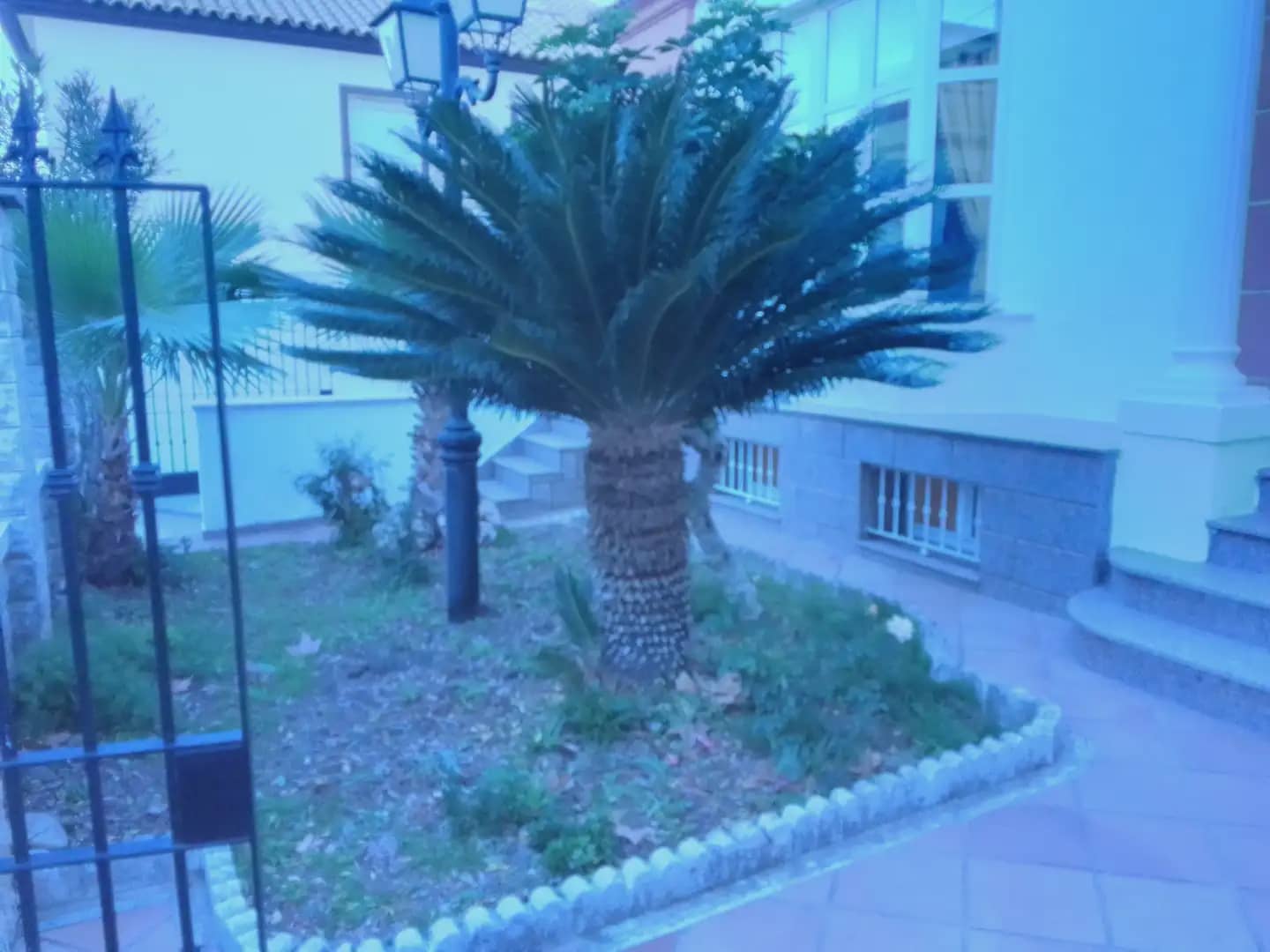 5 soveværelse Villa til salg i Prado del Rey med garage - € 250.000 (Ref: 10016349)
