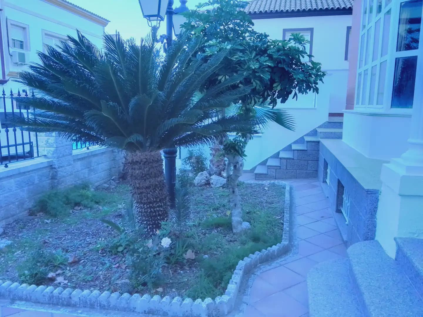 5 soveværelse Villa til salg i Prado del Rey med garage - € 250.000 (Ref: 10016349)