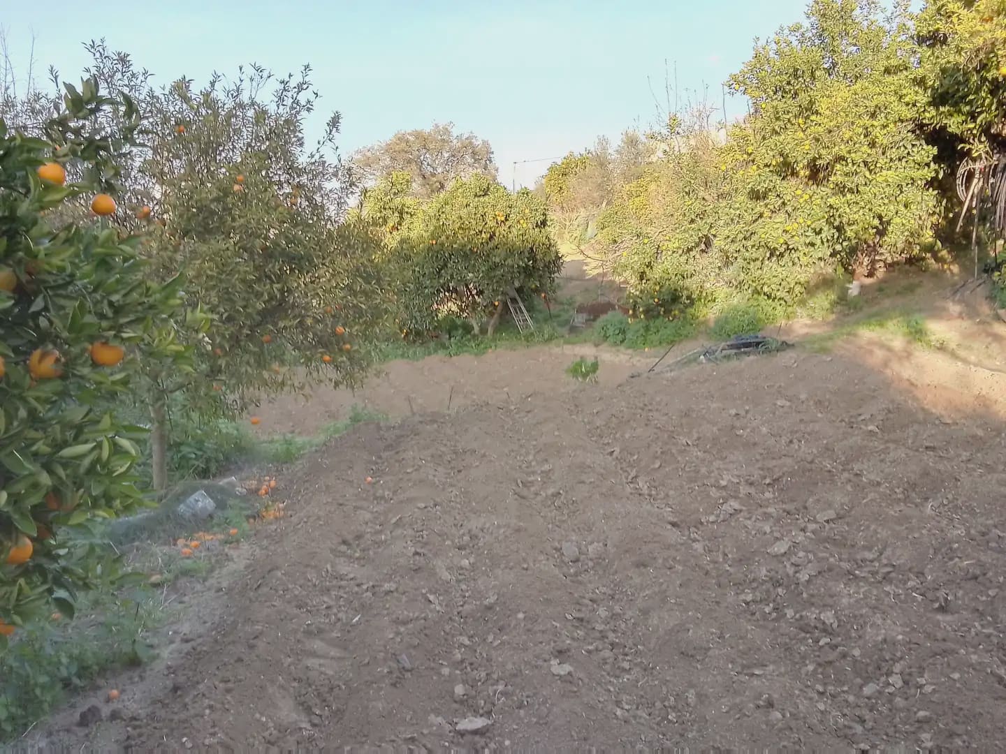 4 sypialnia Willa na sprzedaż w Arcos de la Frontera z basenem garażem - 280 000 € (Ref: 10016354)