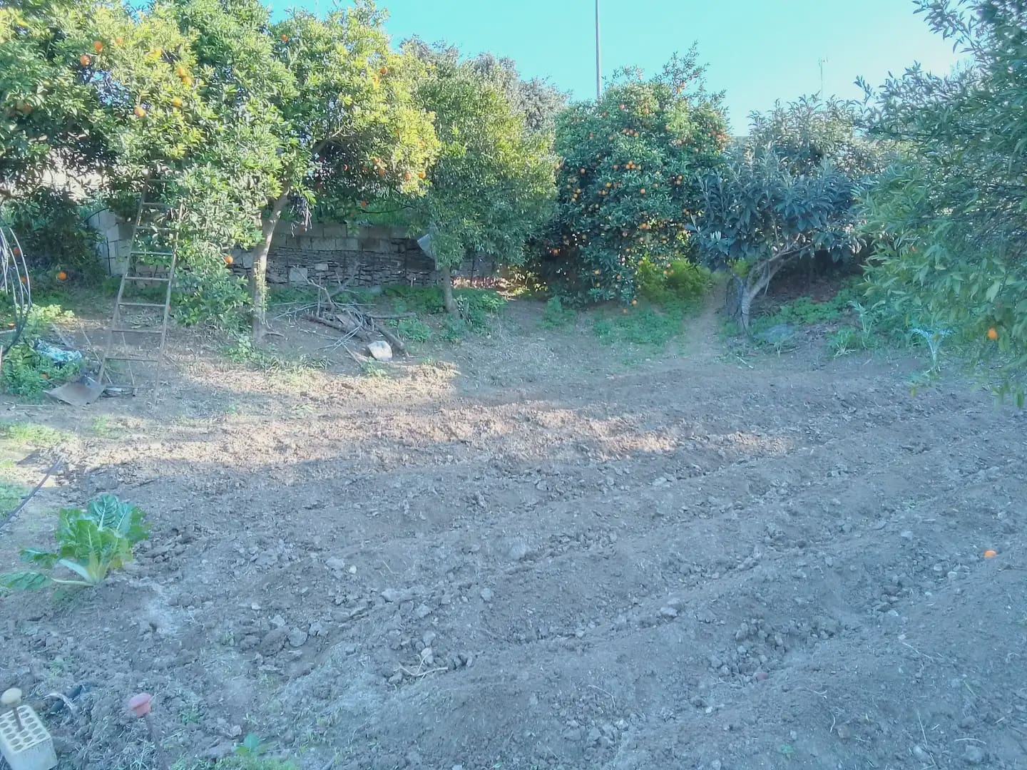 4 sypialnia Willa na sprzedaż w Arcos de la Frontera z basenem garażem - 280 000 € (Ref: 10016354)
