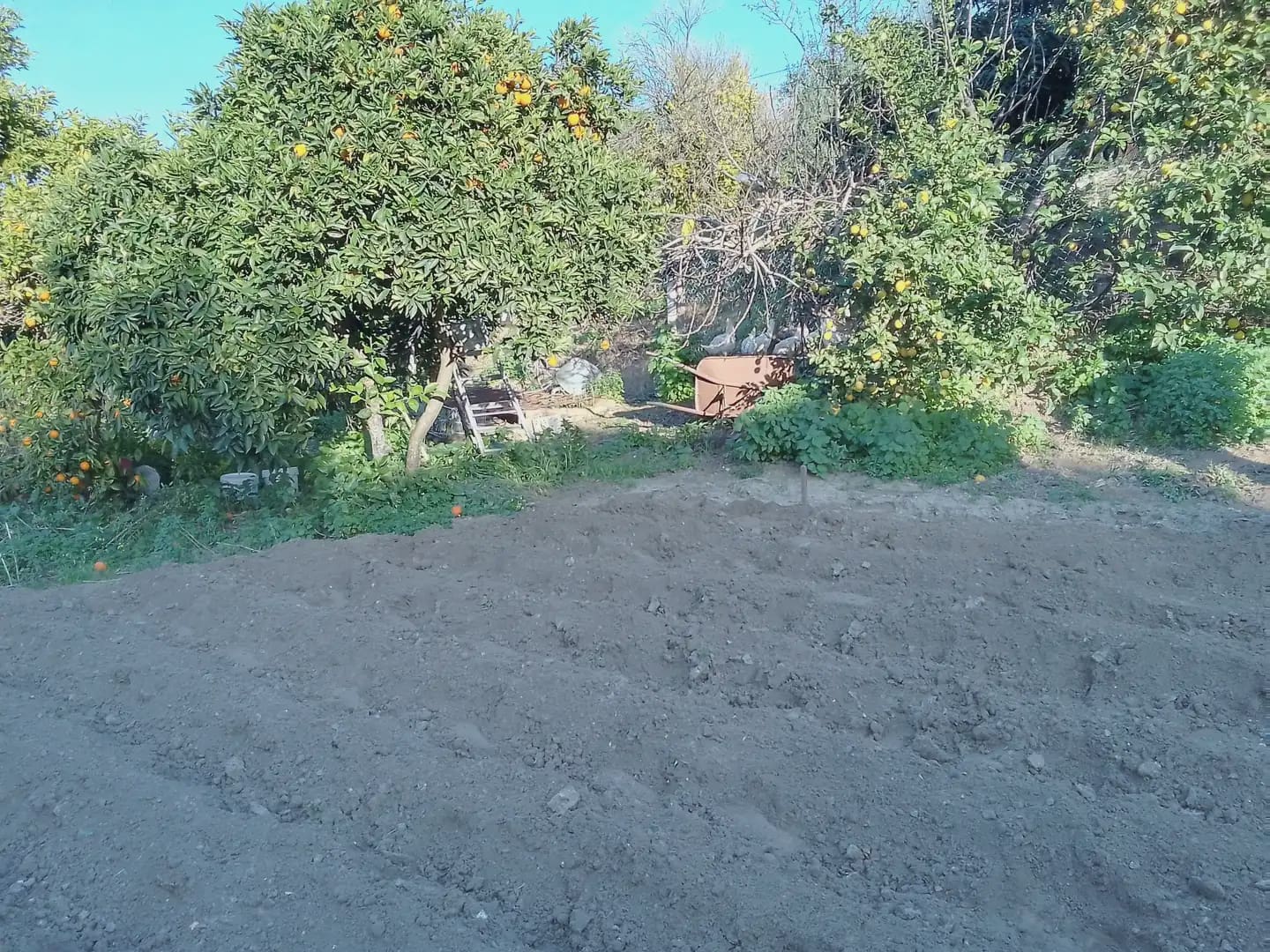 4 sypialnia Willa na sprzedaż w Arcos de la Frontera z basenem garażem - 280 000 € (Ref: 10016354)