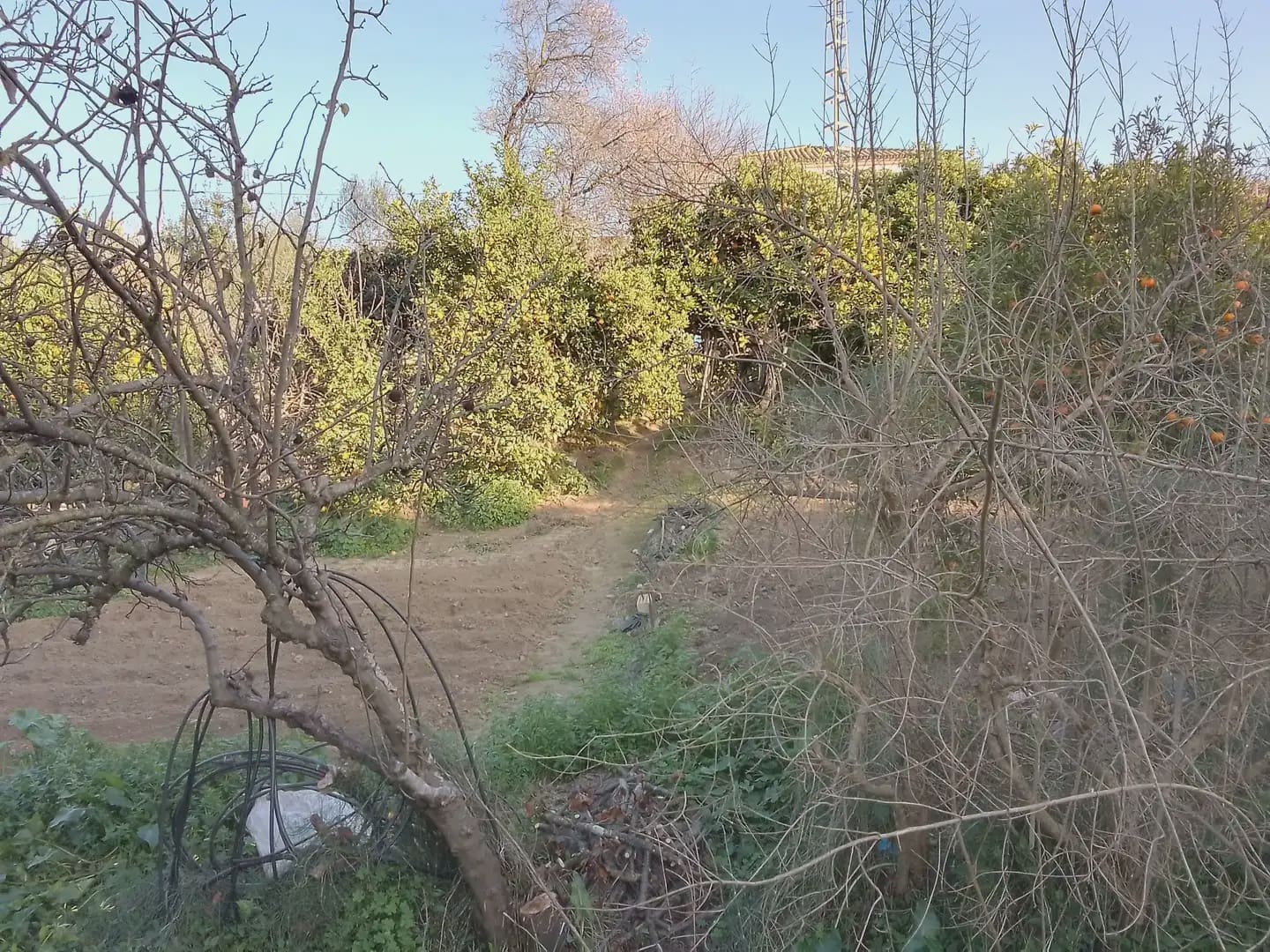 4 sypialnia Willa na sprzedaż w Arcos de la Frontera z basenem garażem - 280 000 € (Ref: 10016354)