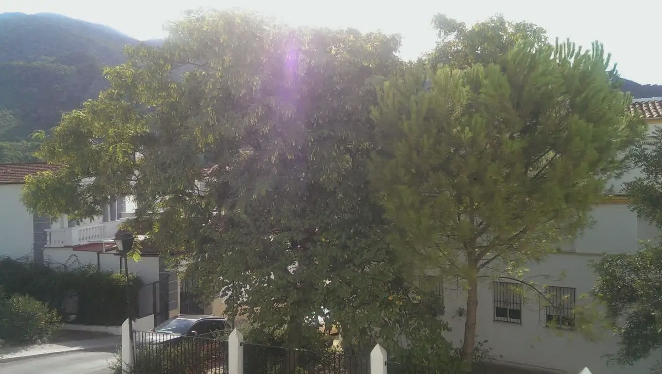 Bauplatz zu verkaufen in Ubrique - 36.000 € (Ref: 10016368)