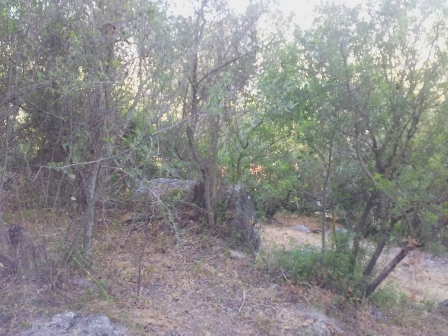 2 sypialnia Finka/Dom wiejski na sprzedaż w Ubrique - 48 500 € (Ref: 10016373)