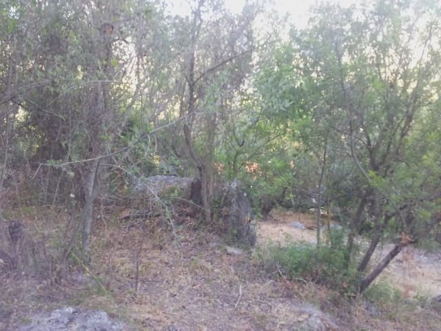 2 soveværelse Finca/Landehus til salg i Ubrique - € 48.500 (Ref: 10016373)