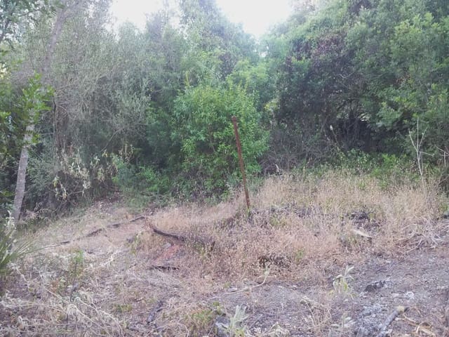 2 soveværelse Finca/Landehus til salg i Ubrique - € 48.500 (Ref: 10016373)