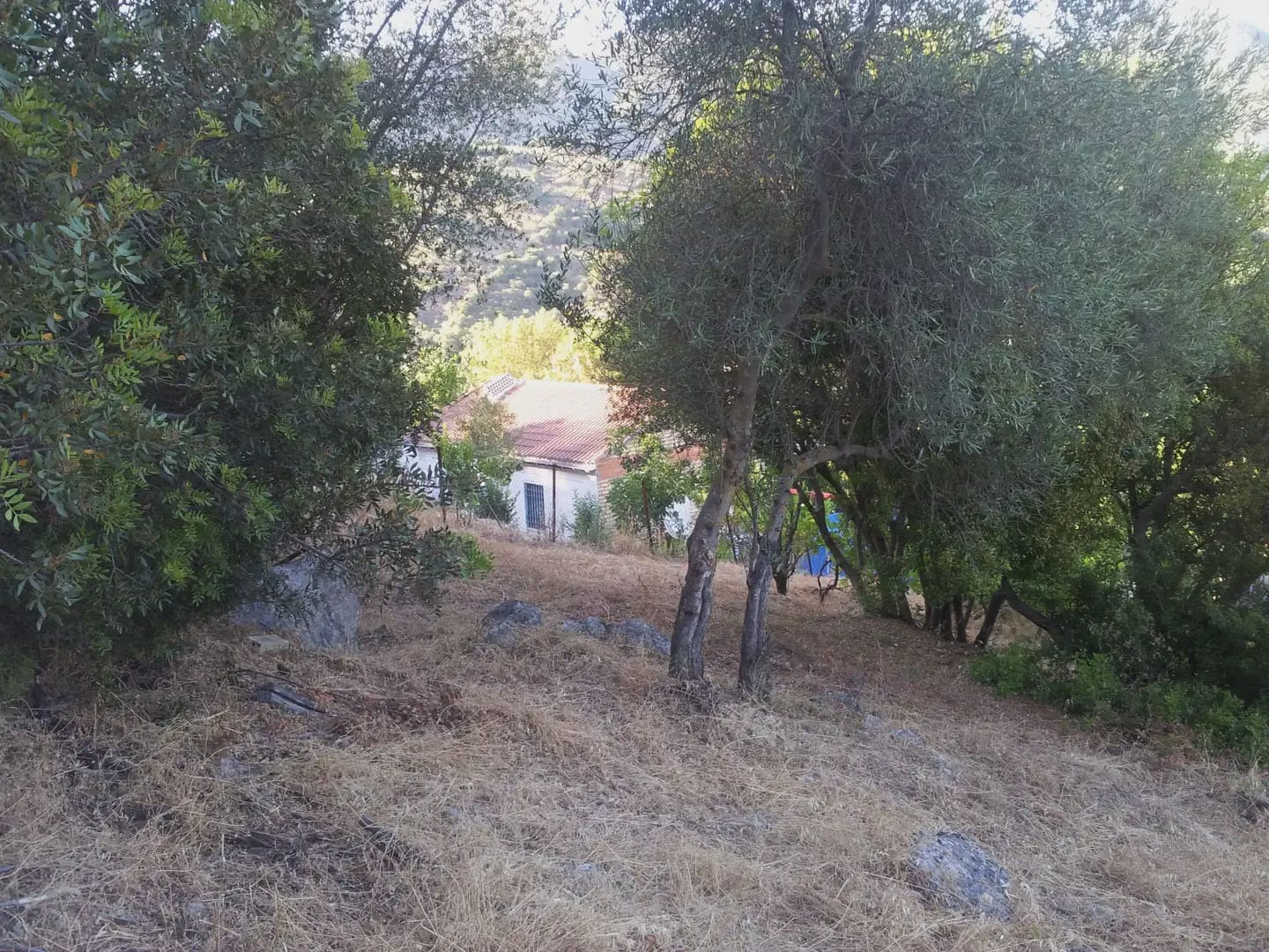2 sypialnia Finka/Dom wiejski na sprzedaż w Ubrique - 48 500 € (Ref: 10016373)