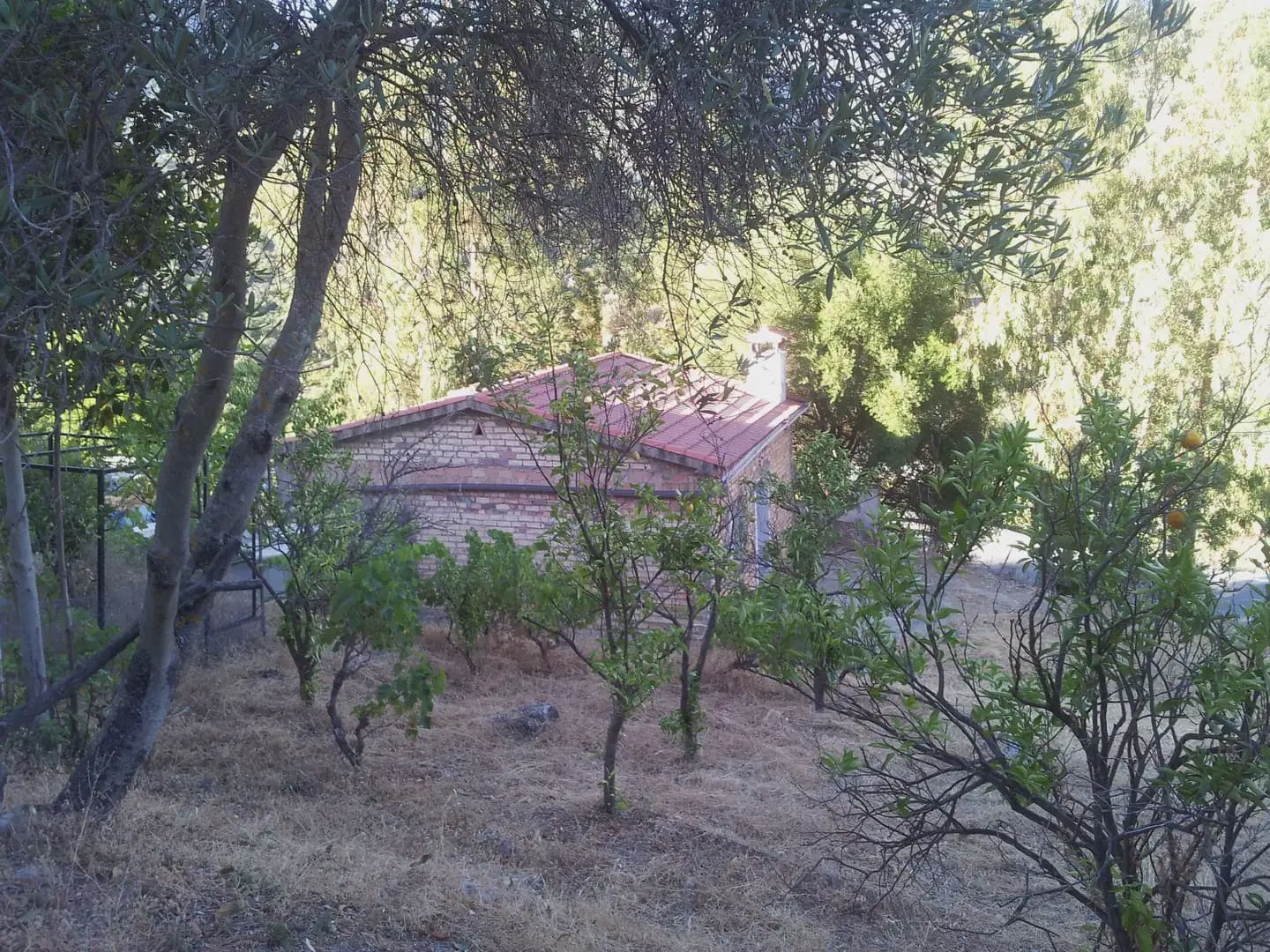 2 sypialnia Finka/Dom wiejski na sprzedaż w Ubrique - 48 500 € (Ref: 10016373)