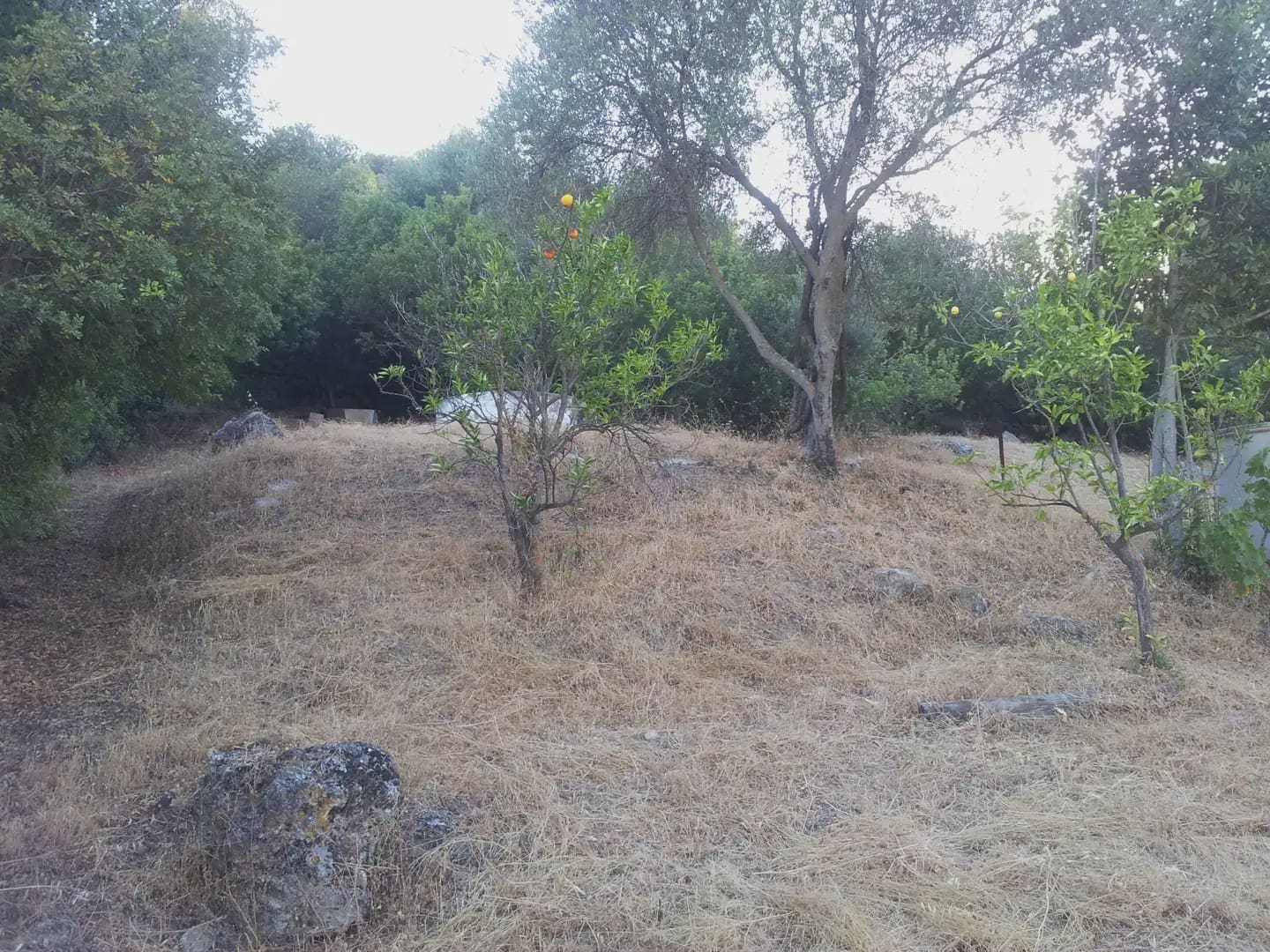 2 sypialnia Finka/Dom wiejski na sprzedaż w Ubrique - 48 500 € (Ref: 10016373)