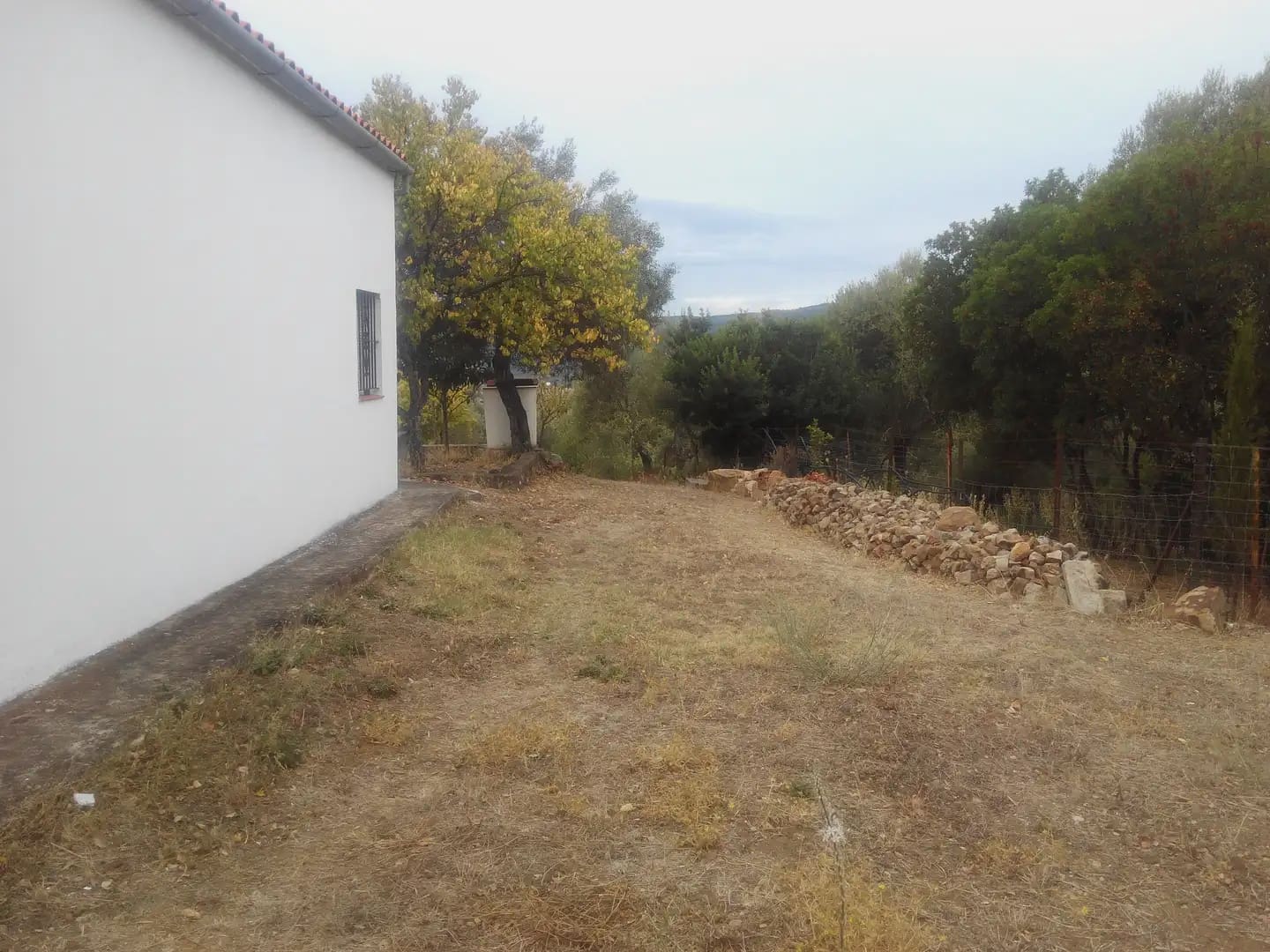 Finca/Herregård til salgs i Ubrique - € 480 000 (Ref: 10016374)