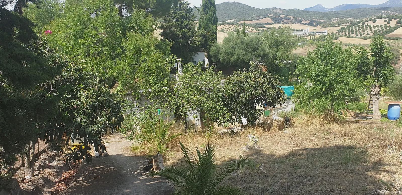 Finca/Landehus til salg i Prado del Rey - € 300.000 (Ref: 10016377)