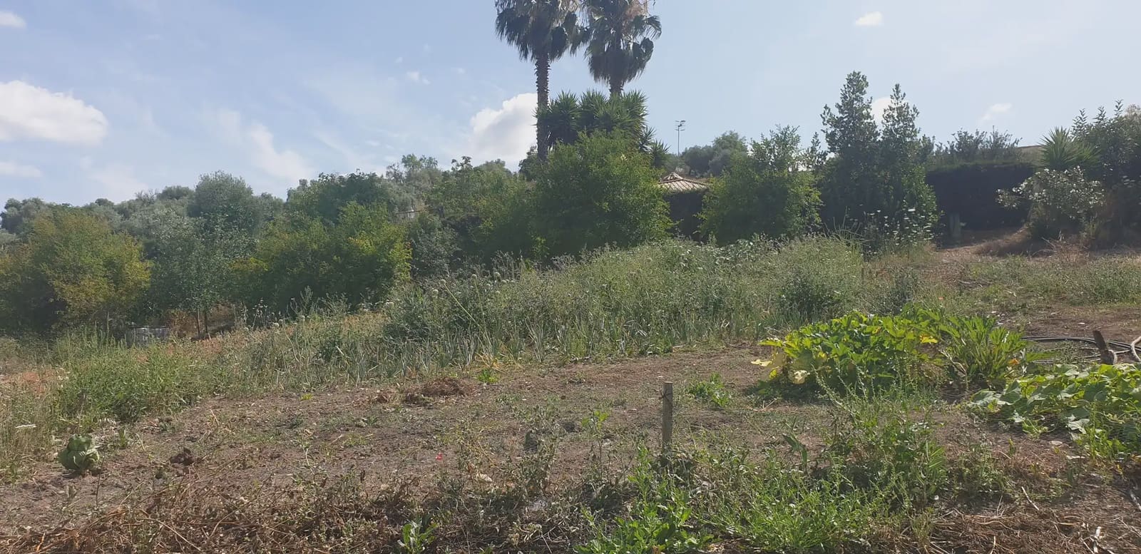 Finca/Landehus til salg i Prado del Rey - € 300.000 (Ref: 10016377)