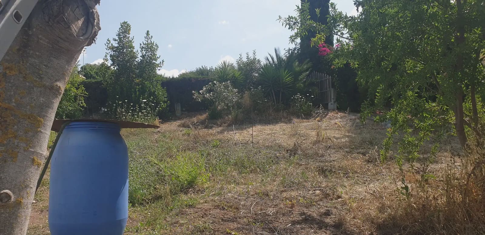 Finca/Landehus til salg i Prado del Rey - € 300.000 (Ref: 10016377)