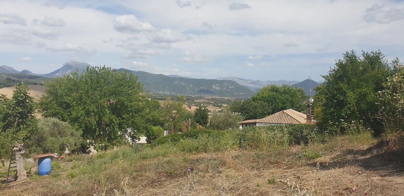 Finca/Landehus til salg i Prado del Rey - € 300.000 (Ref: 10016377)