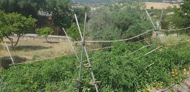 Finca/Casa di Campagna in vendita in Prado del Rey - 300.000 € (Rif: 10016377)