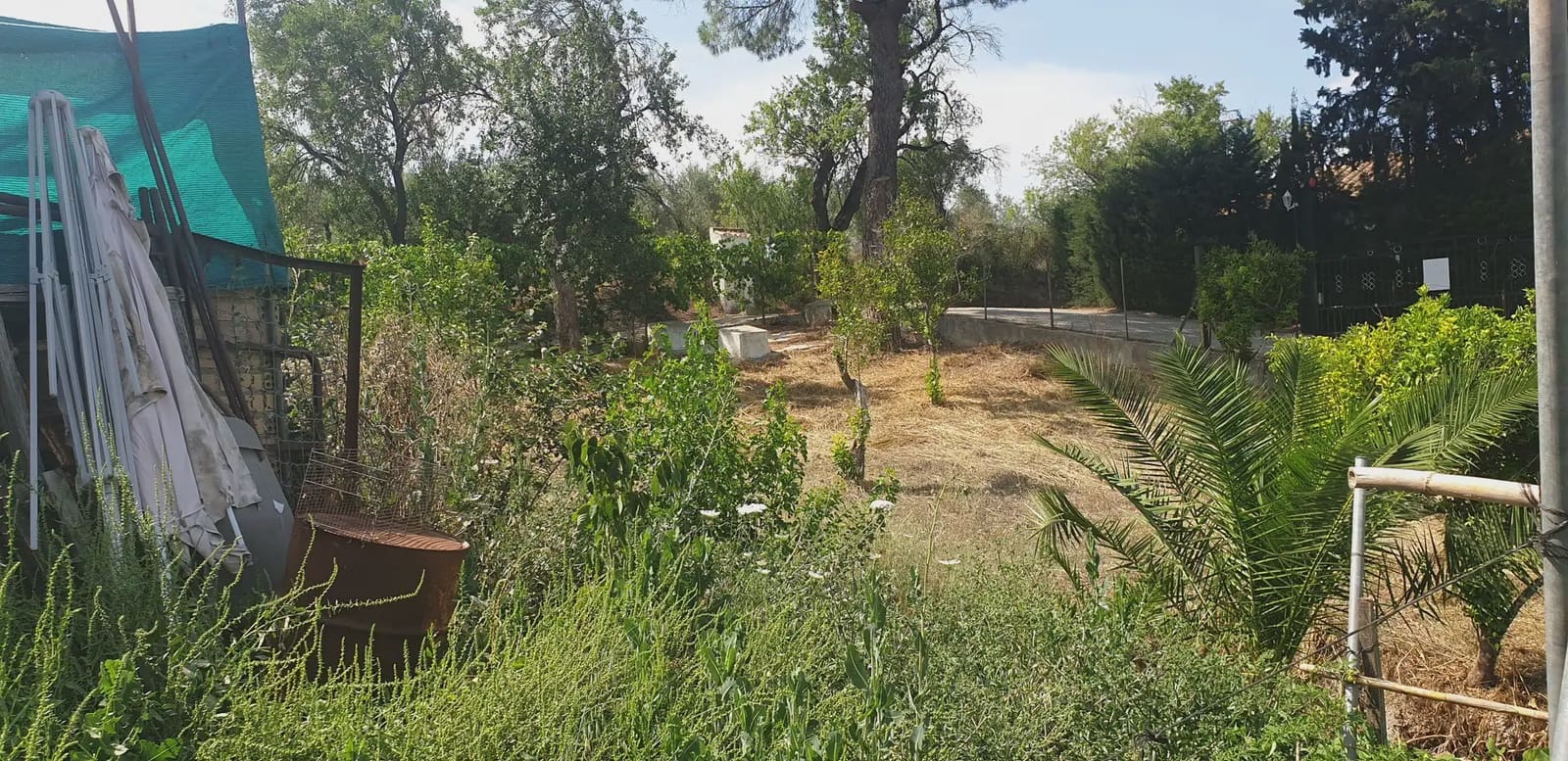 Finca/Landehus til salg i Prado del Rey - € 300.000 (Ref: 10016377)