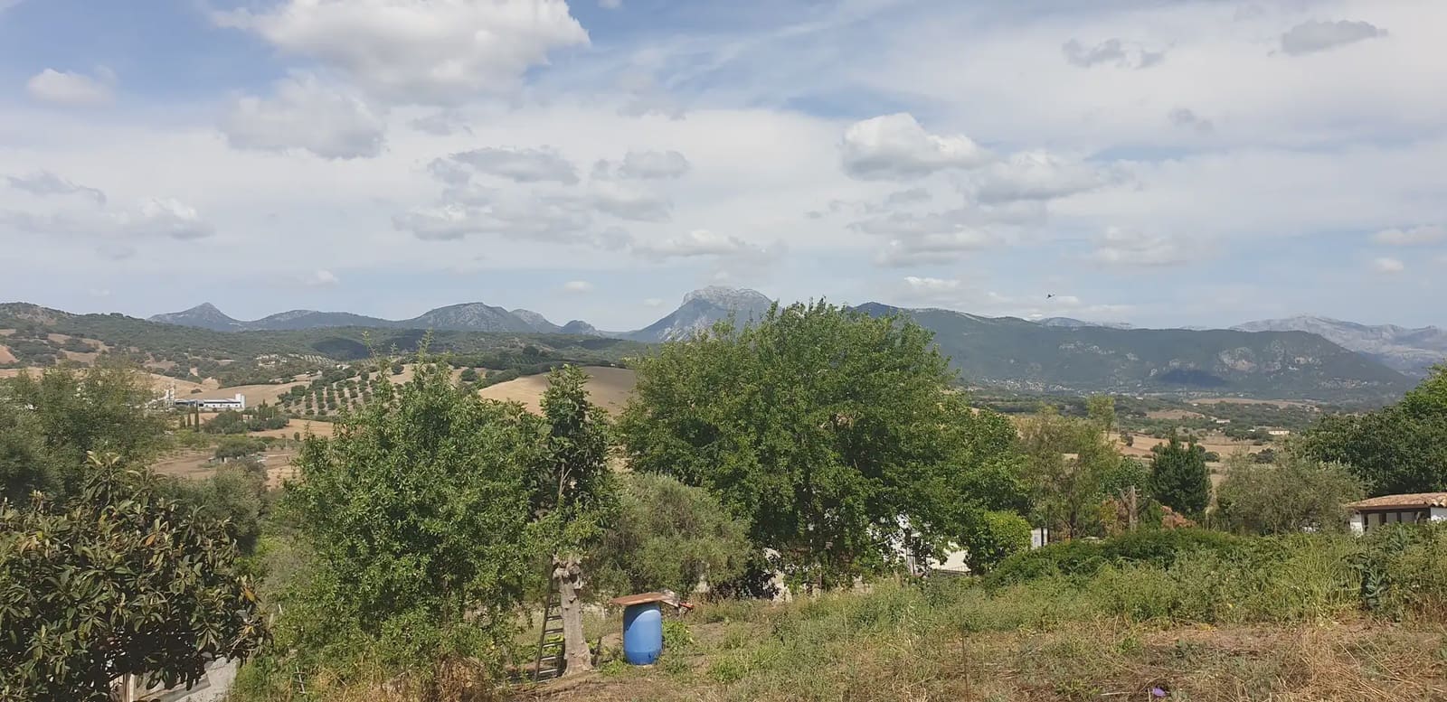 Finca/Landehus til salg i Prado del Rey - € 300.000 (Ref: 10016377)