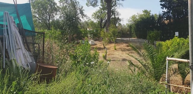Finca/Casa di Campagna in vendita in Prado del Rey - 300.000 € (Rif: 10016377)
