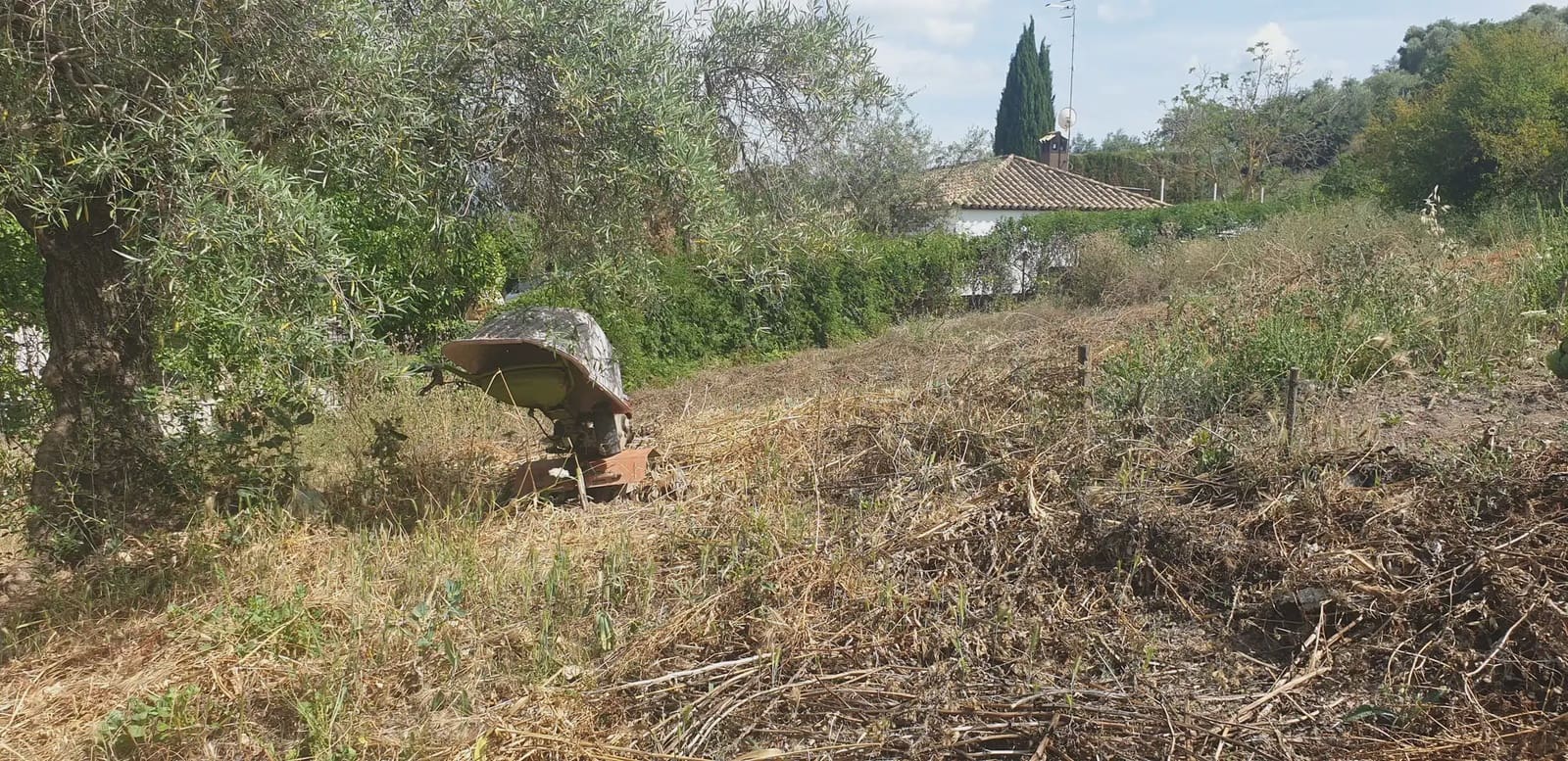 Finca/Landehus til salg i Prado del Rey - € 300.000 (Ref: 10016377)