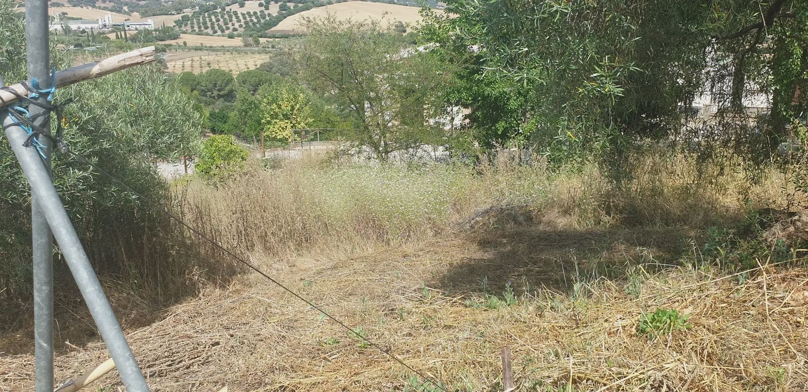 Finca/Landehus til salg i Prado del Rey - € 300.000 (Ref: 10016377)
