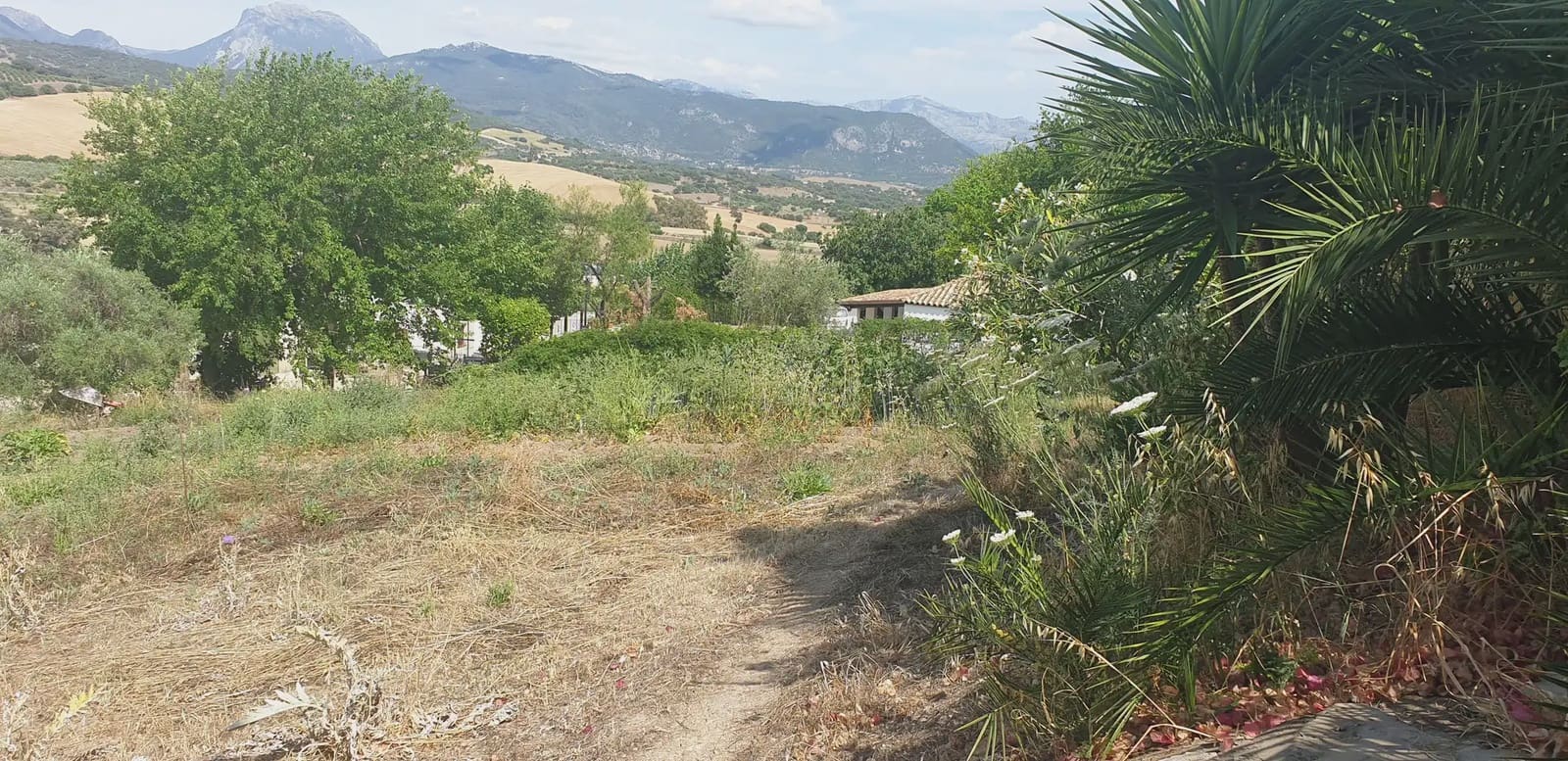 Finca/Landehus til salg i Prado del Rey - € 300.000 (Ref: 10016377)