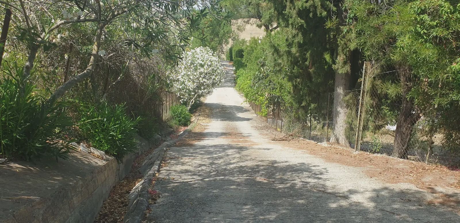 Finca/Landehus til salg i Prado del Rey - € 300.000 (Ref: 10016377)