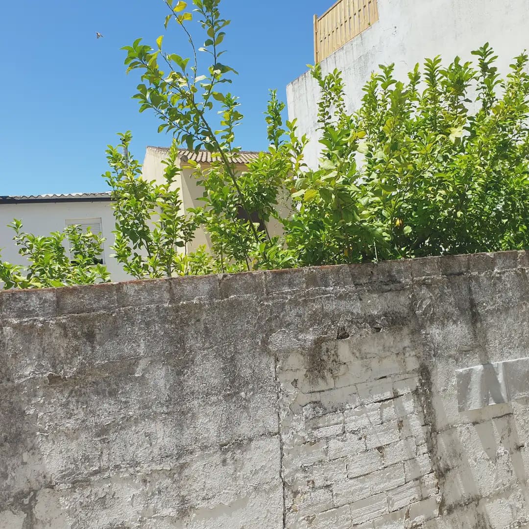 Bauplatz zu verkaufen in Ubrique - 35.000 € (Ref: 10016378)